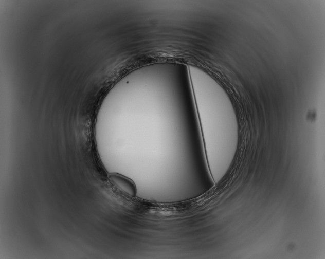 X0000100880559200806201149