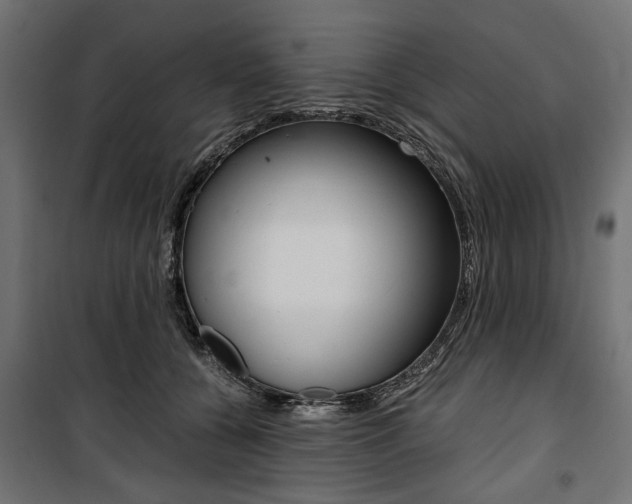 X0000100880560200806201149