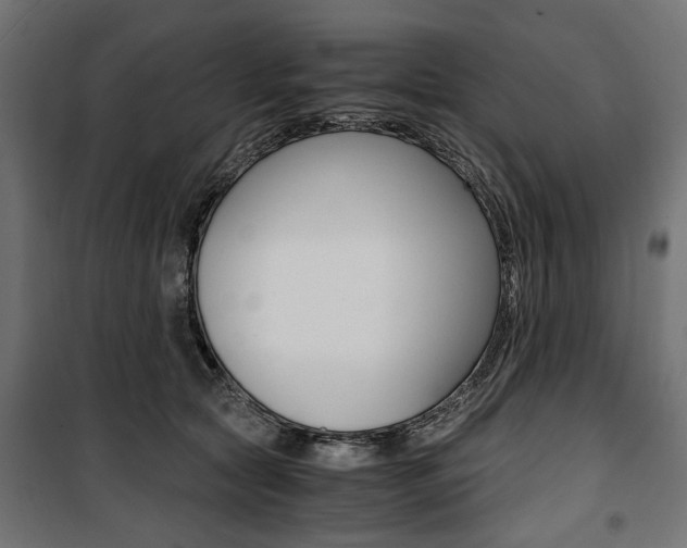 X0000100880561200806201149