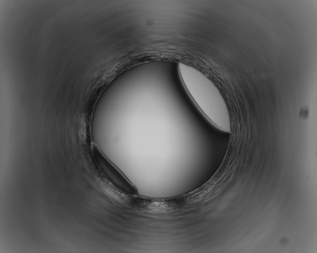 X0000100880562200806201149