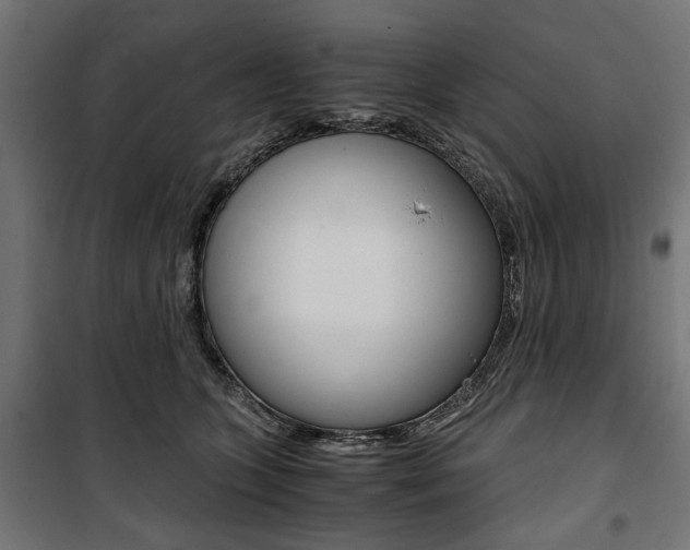 X0000100880563200806201149
