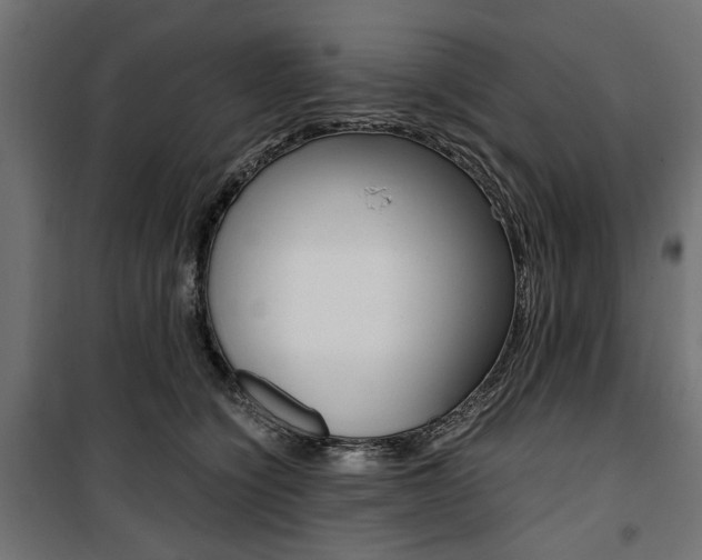 X0000100880564200806201149