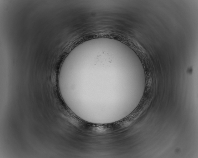 X0000100880565200806201149