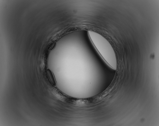 X0000100880566200806201149