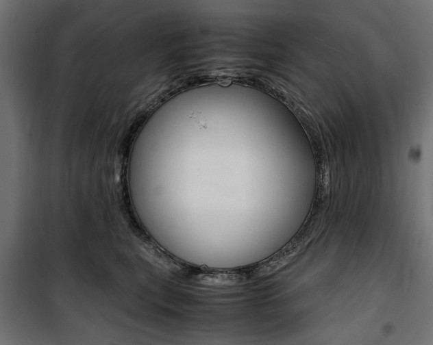 X0000100880567200806201149