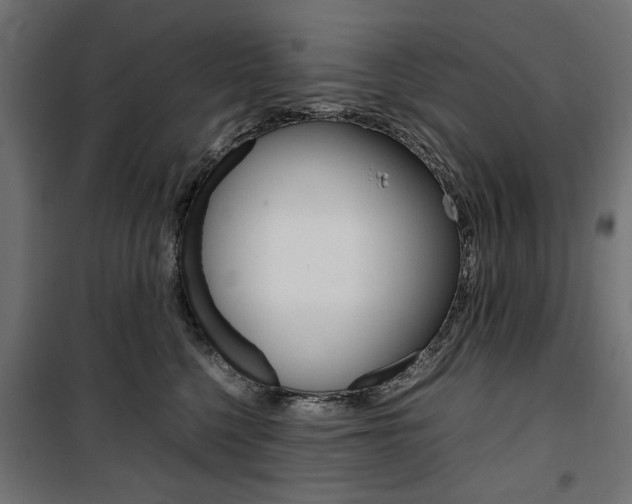 X0000100880568200806201149