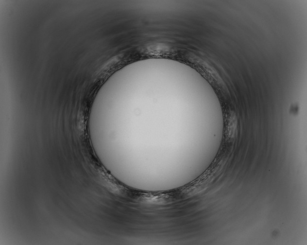 X0000100880569200806201149
