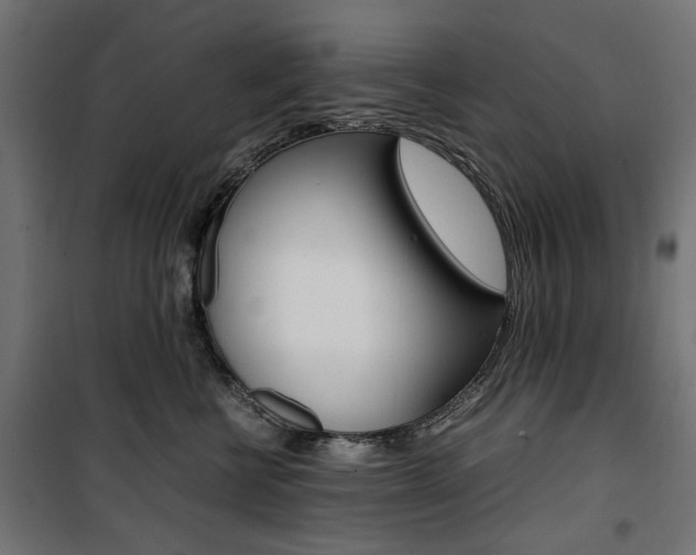 X0000100880570200806201149
