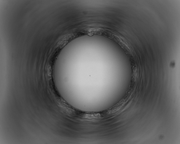 X0000100880571200806201149