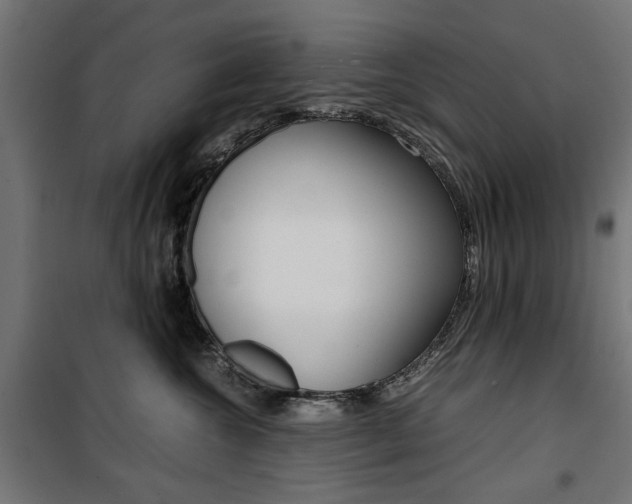 X0000100880572200806201149