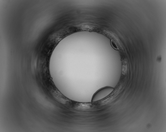 X0000100880573200806201149