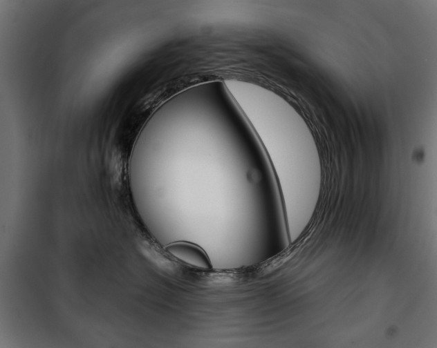 X0000100880574200806201149