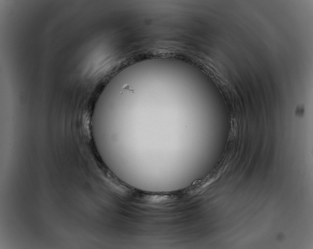 X0000100880575200806201149