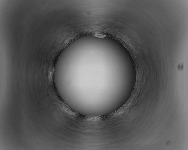 X0000100880576200806201149