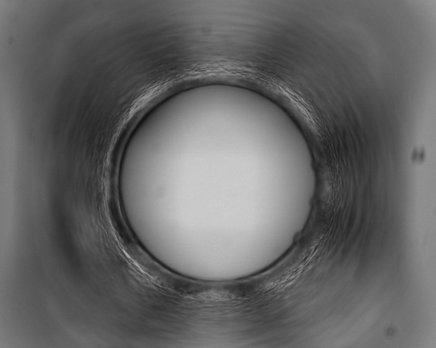 X0000100880578200806201149