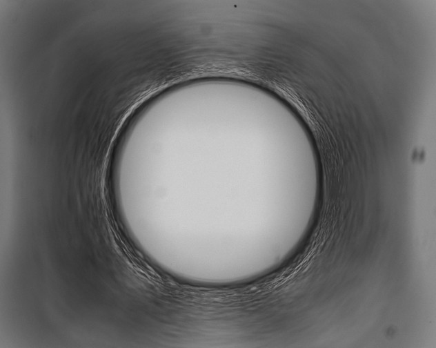 X0000100880579200806201149