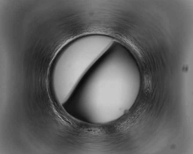 X0000100880580200806201149