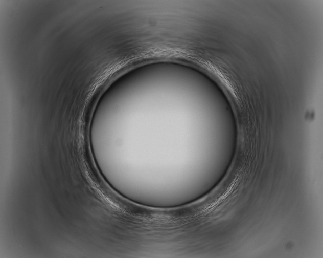 X0000100880581200806201149