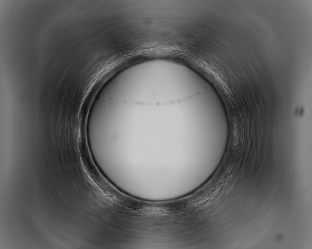 X0000100880582200806201149