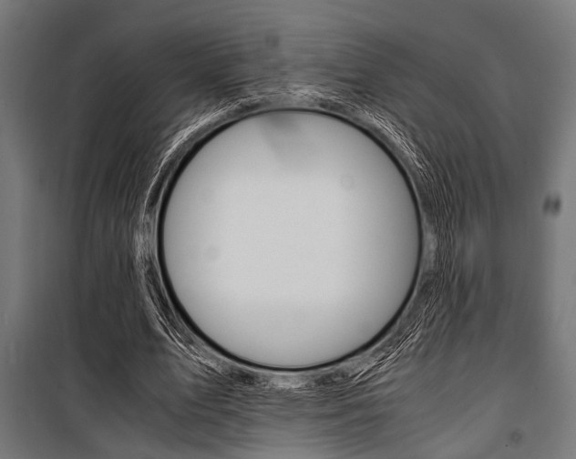 X0000100880583200806201149