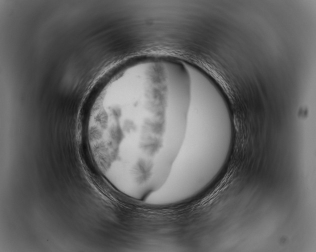 X0000100880584200806201149