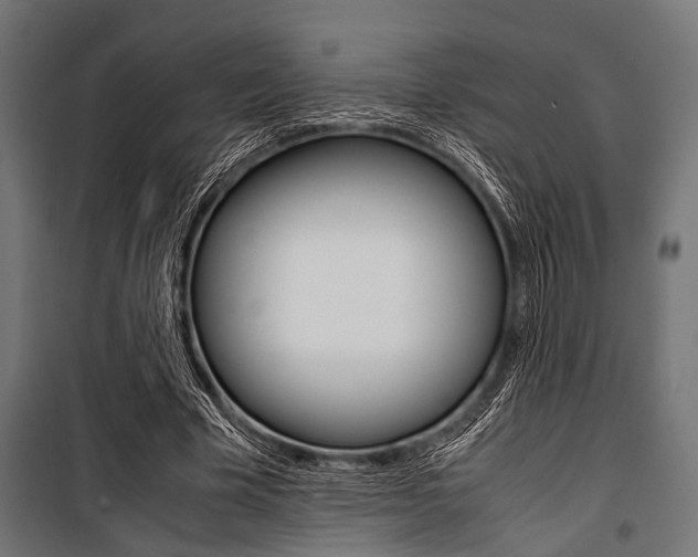 X0000100880585200806201149