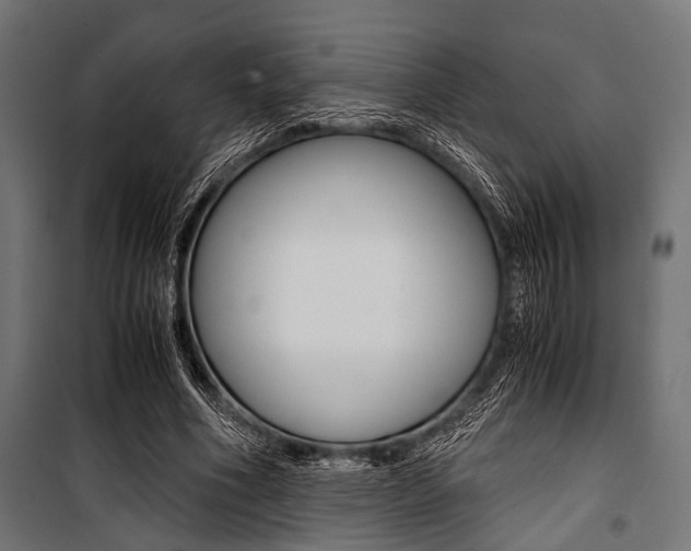 X0000100880586200806201149