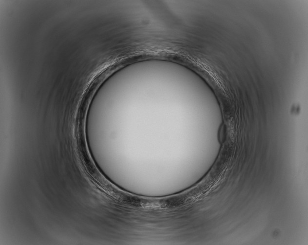 X0000100880587200806201149