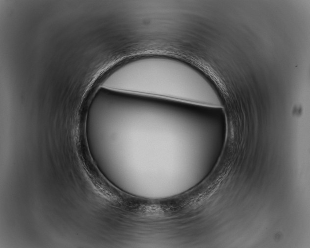 X0000100880588200806201149