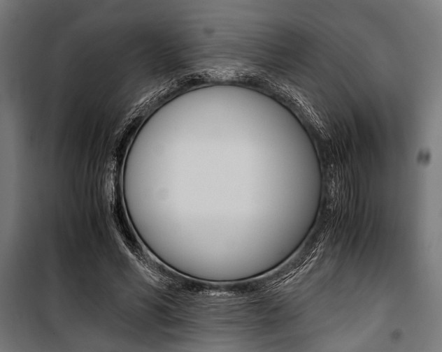 X0000100880590200806201149