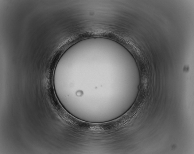 X0000100880591200806201149