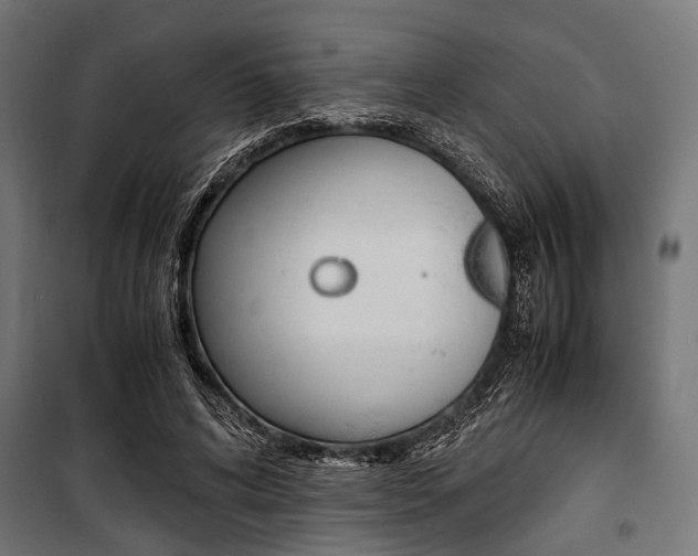 X0000100880592200806201149