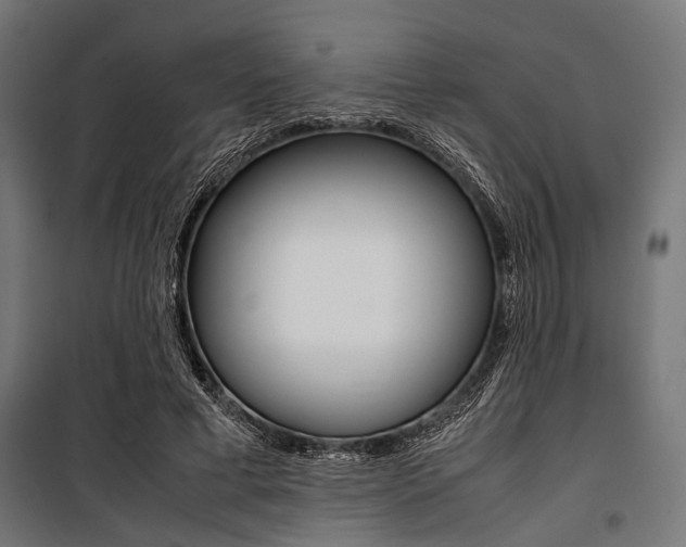 X0000100880593200806201149