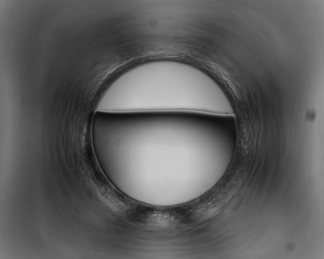 X0000100880596200806201149
