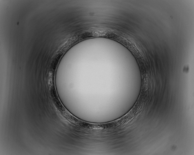 X0000100880598200806201149