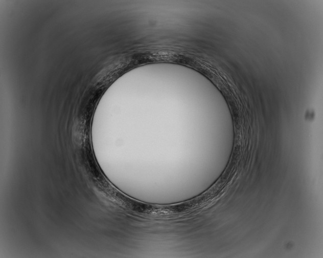 X0000100880599200806201149