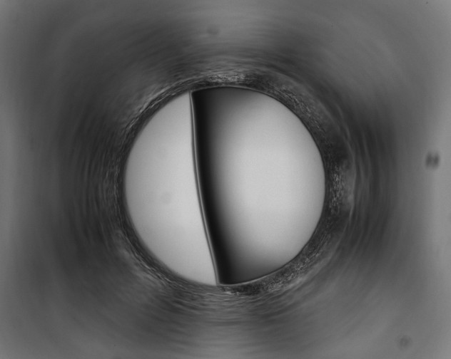 X0000100880600200806201148