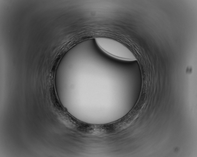 X0000100880601200806201148