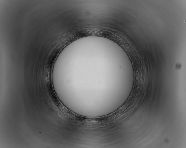 X0000100880602200806201148