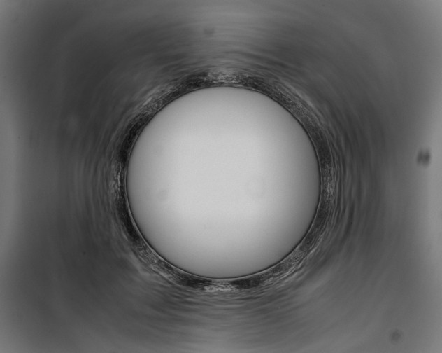 X0000100880603200806201148