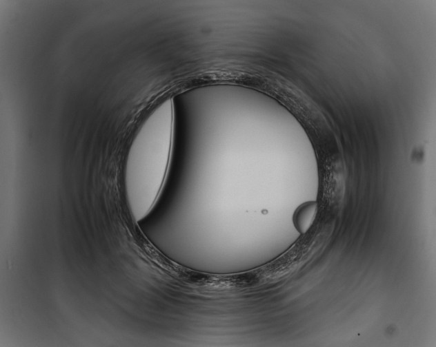 X0000100880604200806201148