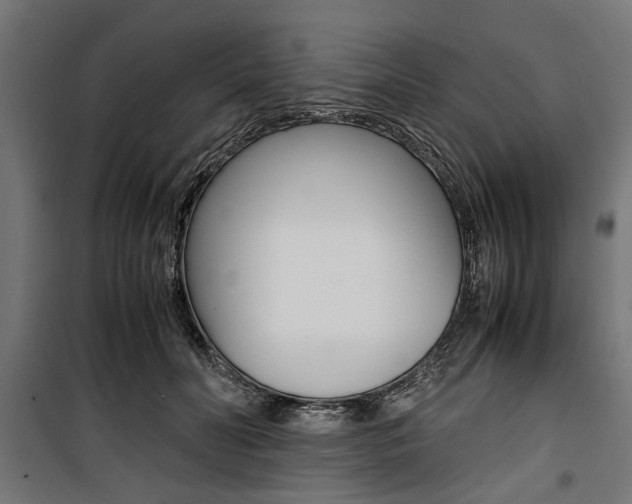X0000100880606200806201148