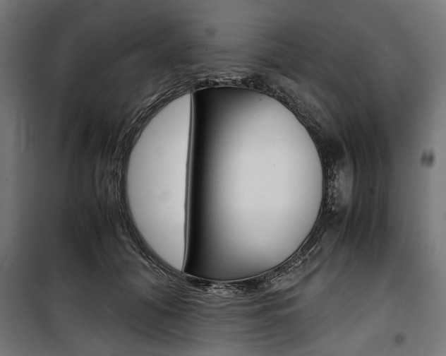 X0000100880608200806201148