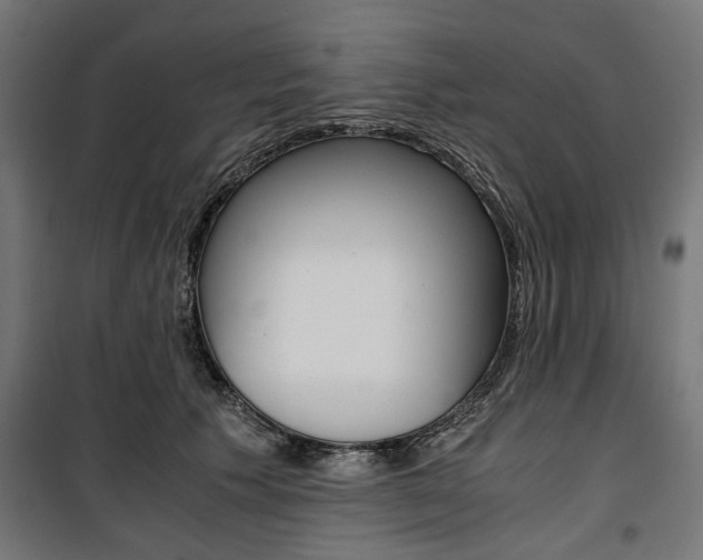X0000100880609200806201148