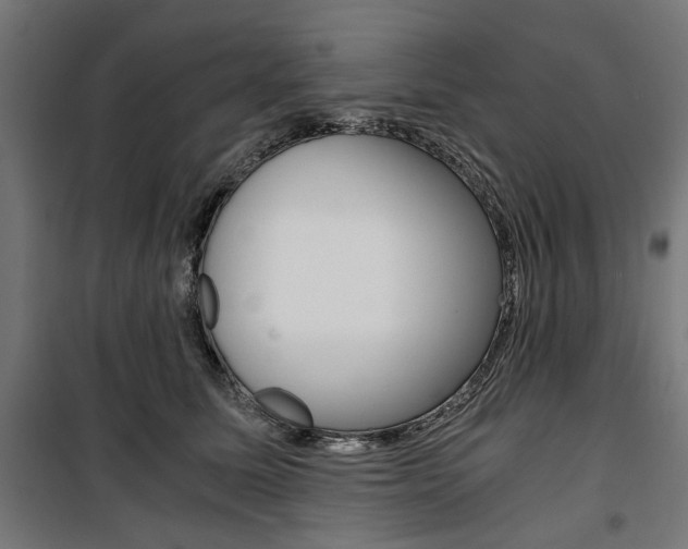 X0000100880611200806201148