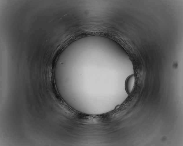 X0000100880612200806201148