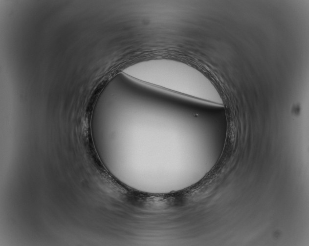 X0000100880613200806201148