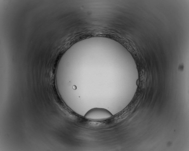 X0000100880614200806201148