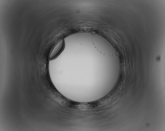 X0000100880615200806201148