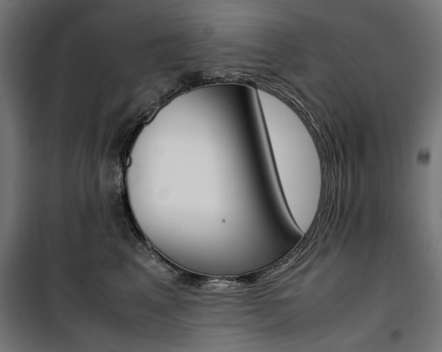 X0000100880617200806201148